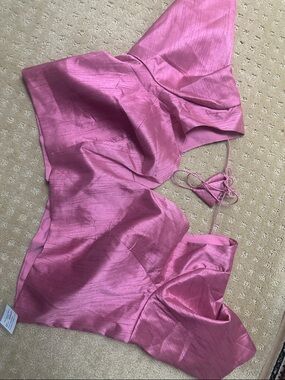 NWT pink sari blouse